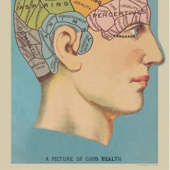 Cavallini & Co. Phrenology Vintage Image Chart, 20” x 28” Inch - NWT - Picture 3 of 5